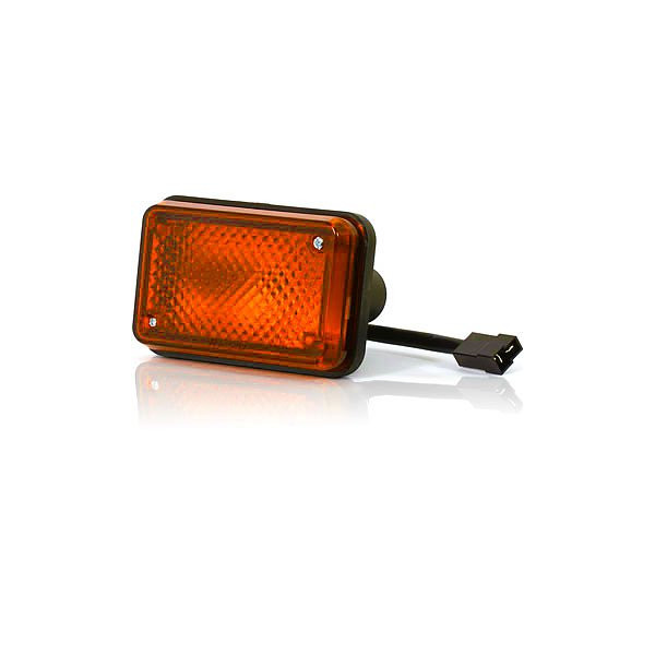 Rear direction indicator lamp W12 (59)