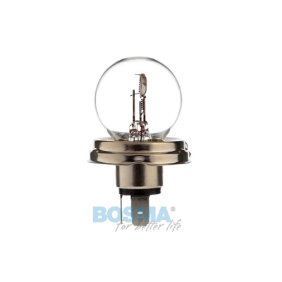 Glühbirne 24V 55/50W  R2 P45T (0294)
