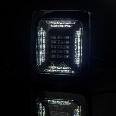 CUBE LED rear combination lamp with black frame LZD2876 E20